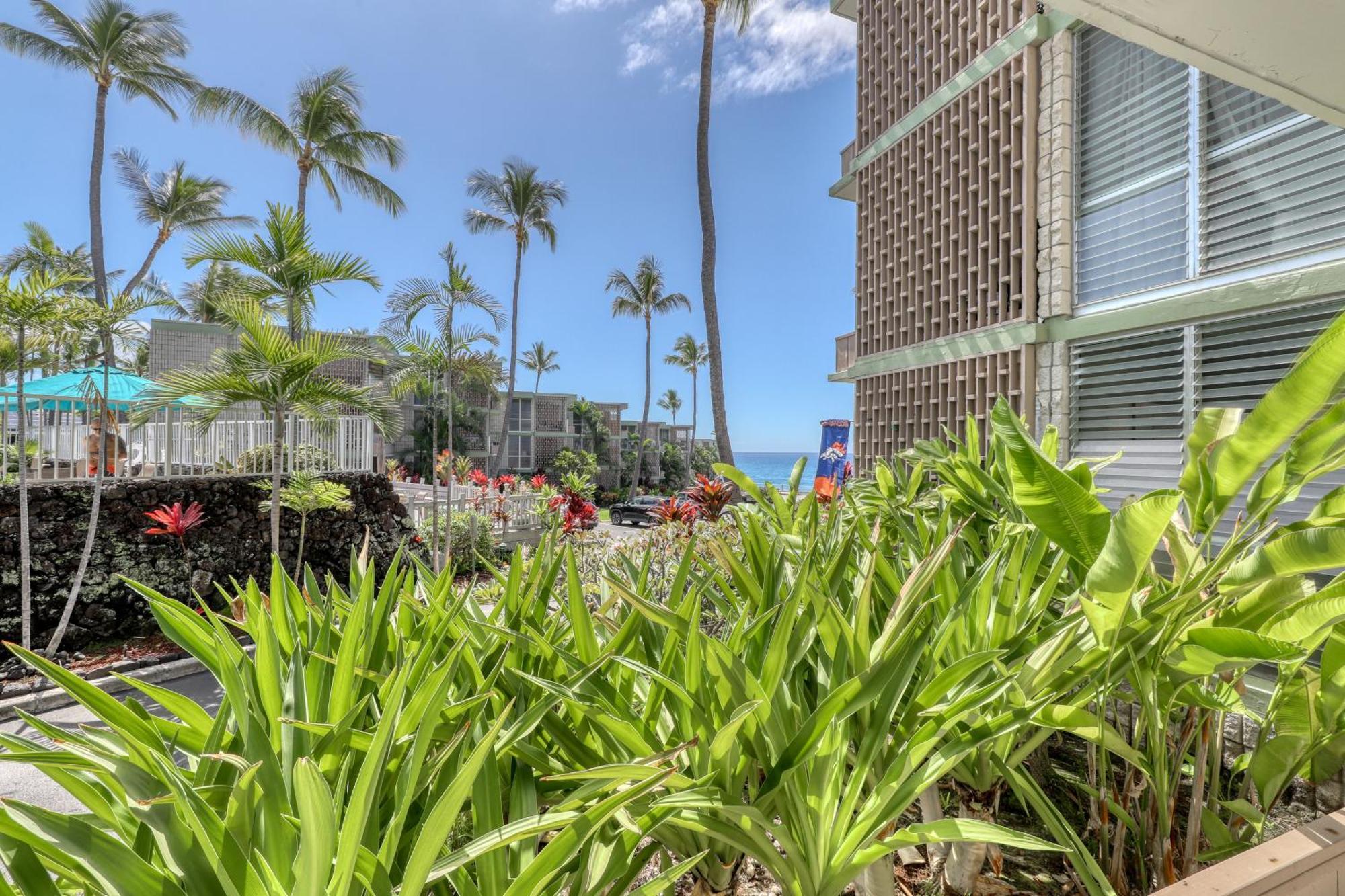 Alii Villas Kailua-Kona Rom bilde