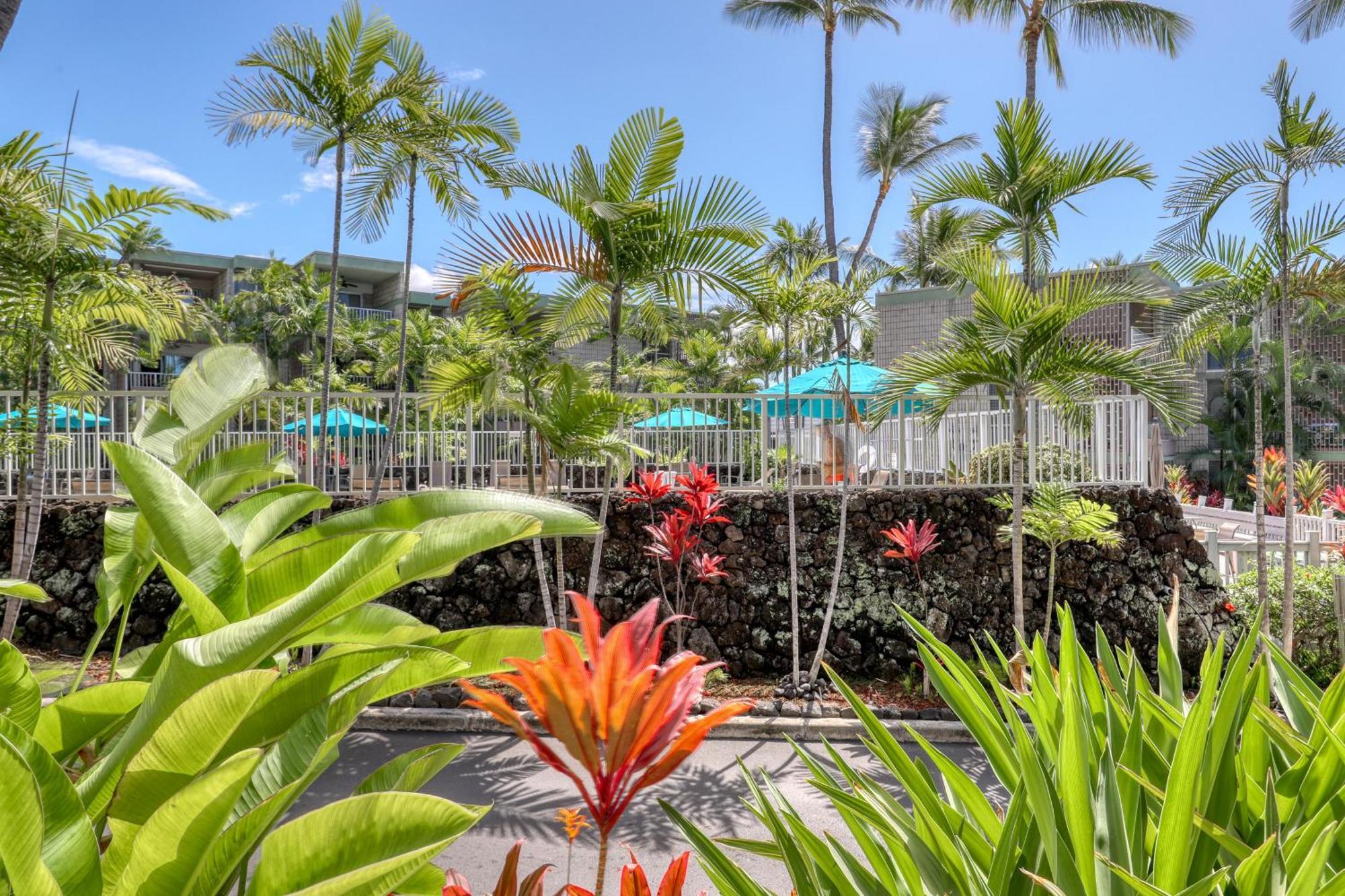 Alii Villas Kailua-Kona Rom bilde